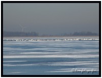 /album/fotogallerij/p1010491-border-jpg/