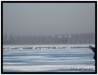 /album/fotogallerij/p1010495-border-jpg/