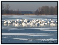 /album/fotogallerij/p1010522-border-jpg/