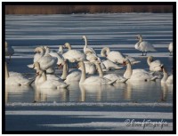 /album/fotogallerij/p1010524-border-jpg/