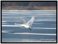 /album/fotogallerij/p1010539-border-jpg/