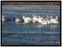 /album/fotogallerij/p1010552-border-jpg1/